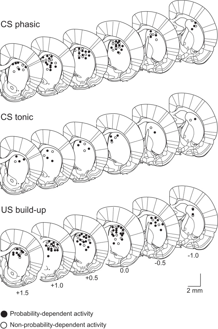 Fig. 14.