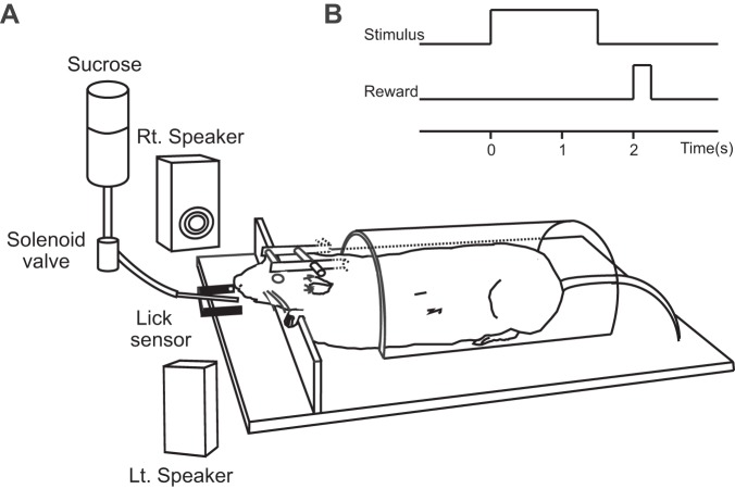 Fig. 1.