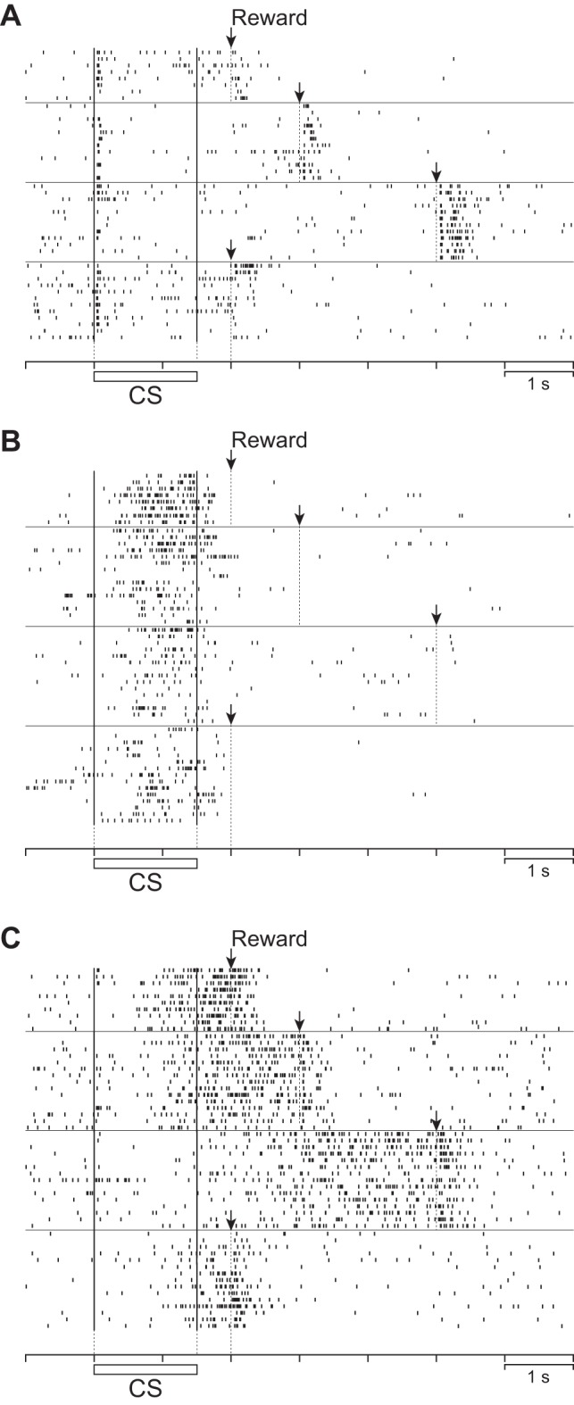 Fig. 12.