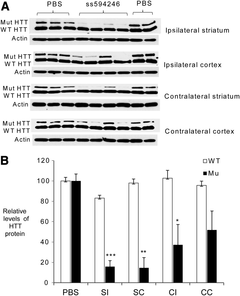 FIG. 8.