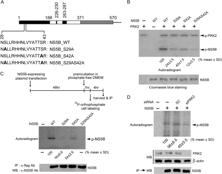 FIG 4