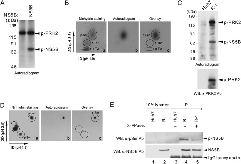 FIG 1