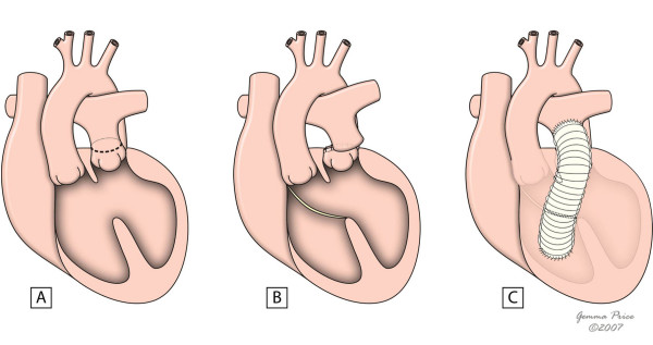 Figure 8