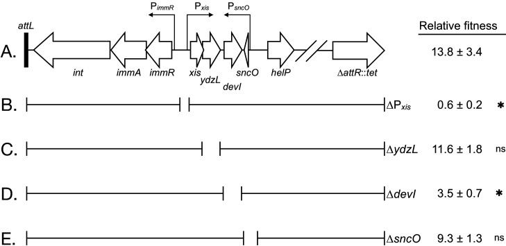 Figure 5.