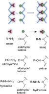 Scheme 4