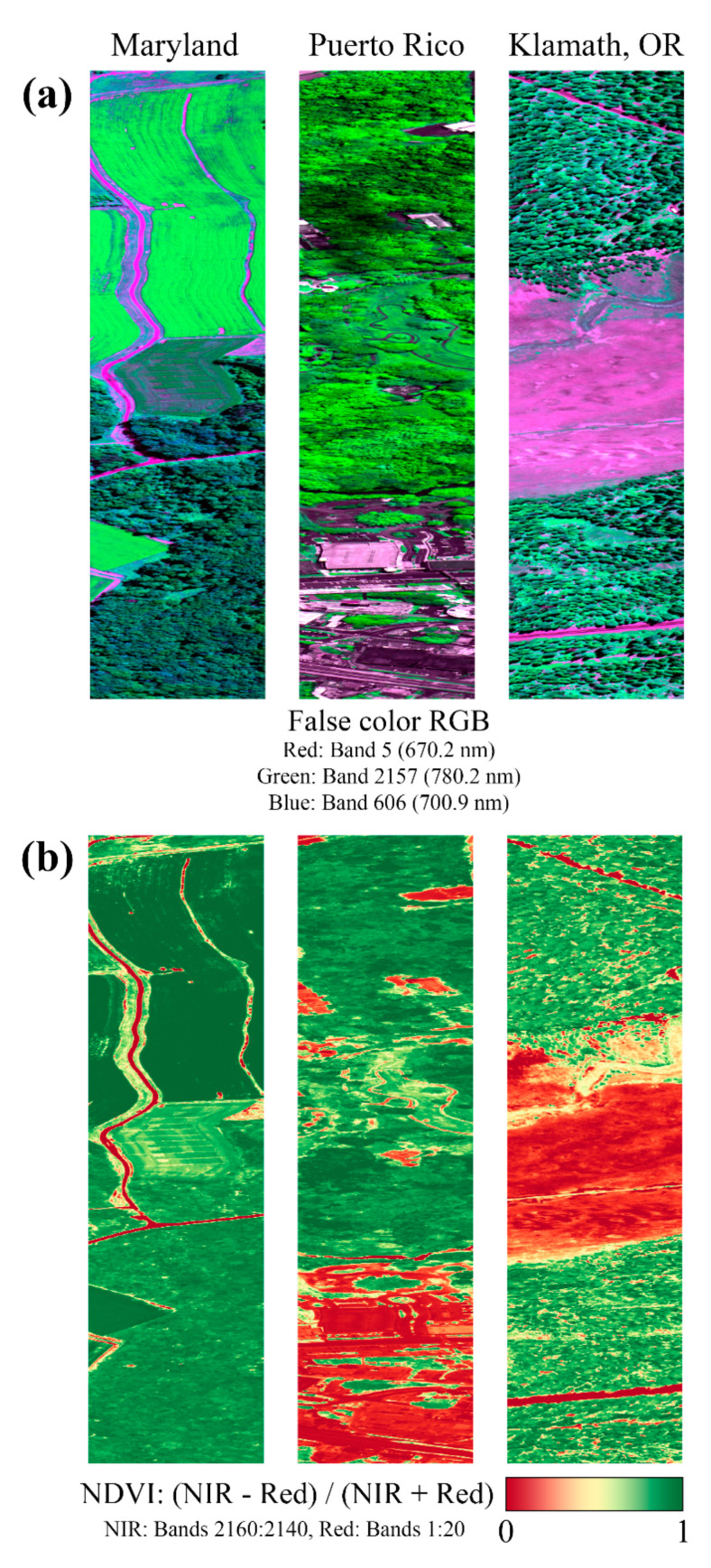 Figure 19