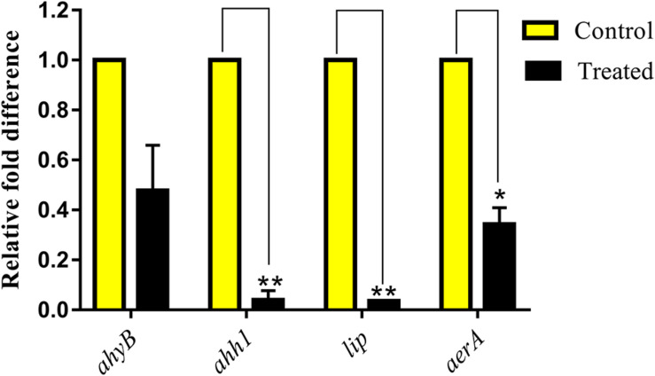 FIGURE 5