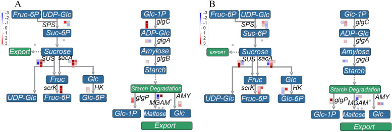 Fig. 4