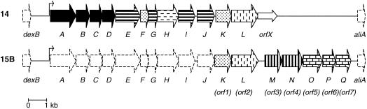 FIG. 2.