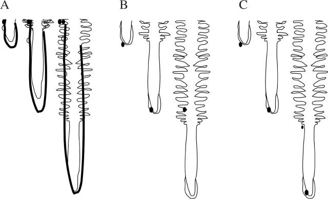 Fig. 5.