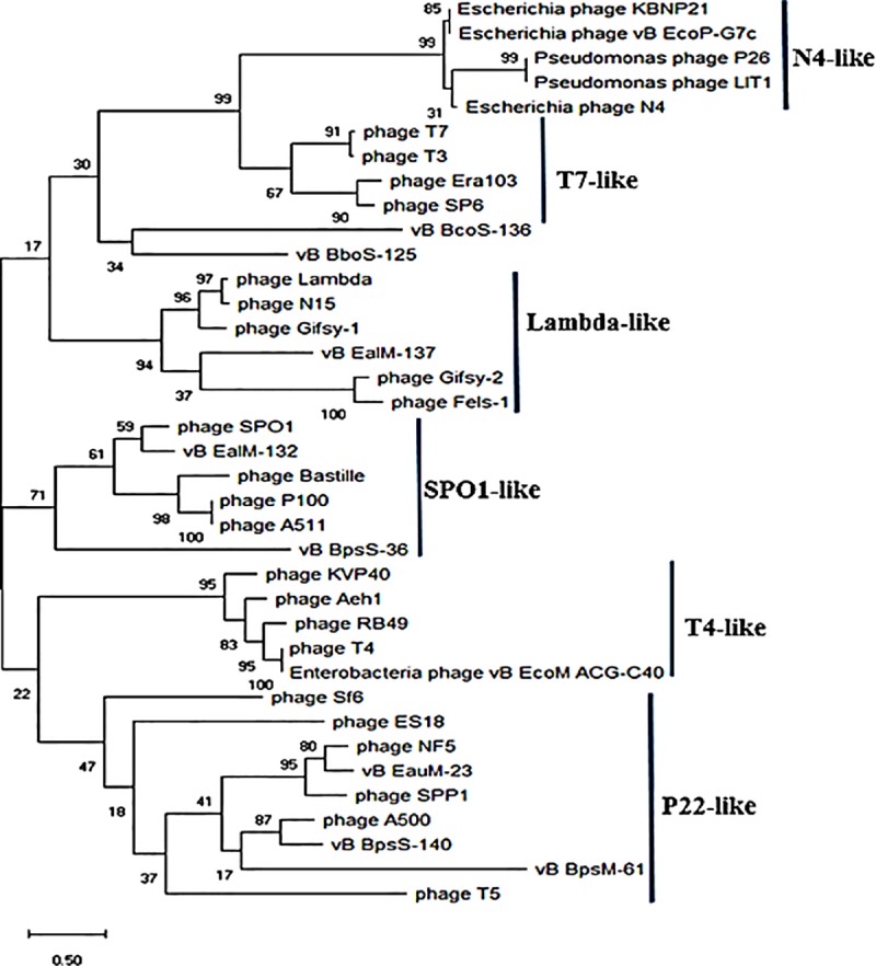 Fig 6