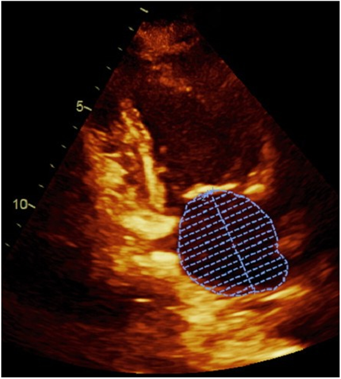 Figure 1.