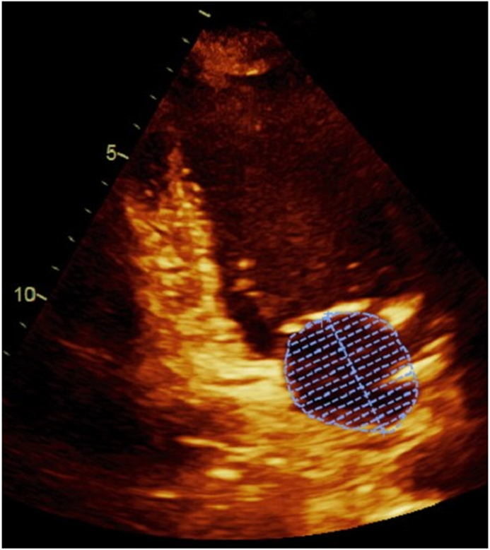 Figure 1.