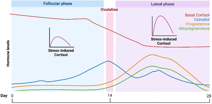 Figure 3