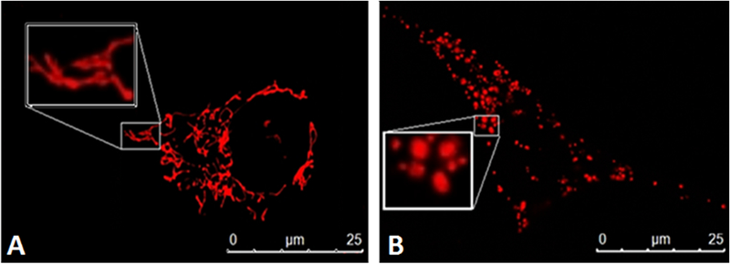 Figure 1: