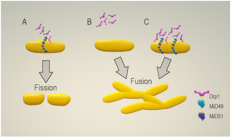 Figure 2: