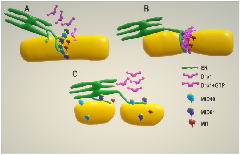 Figure 3: