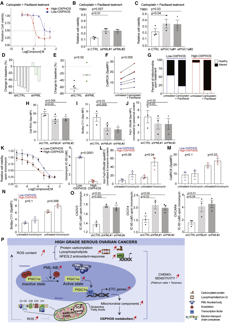 Figure 6