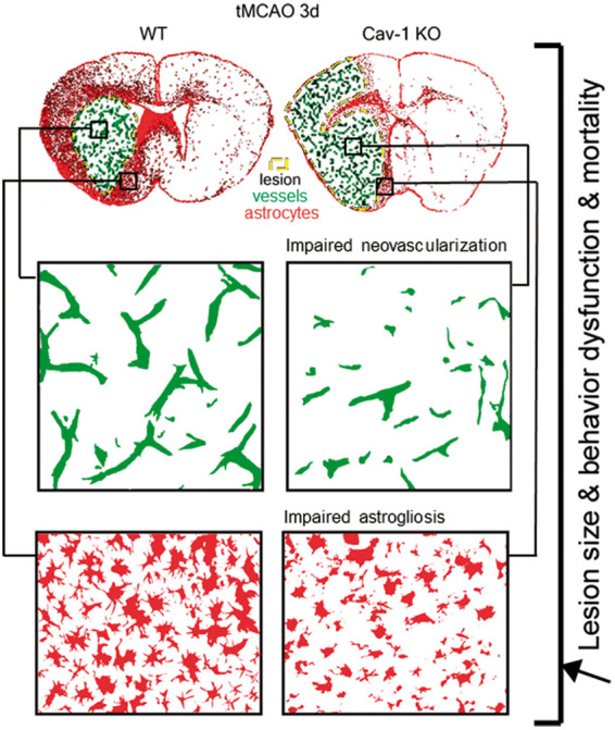 Figure 6.