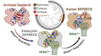 Graphical Abstract