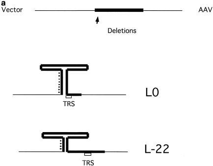 FIG. 7.