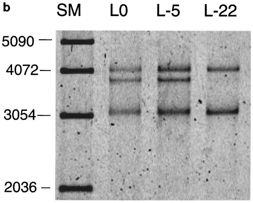 FIG. 7.