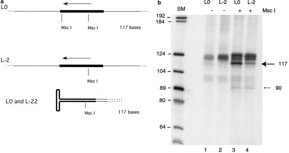 FIG. 6.