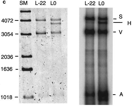 FIG. 7.