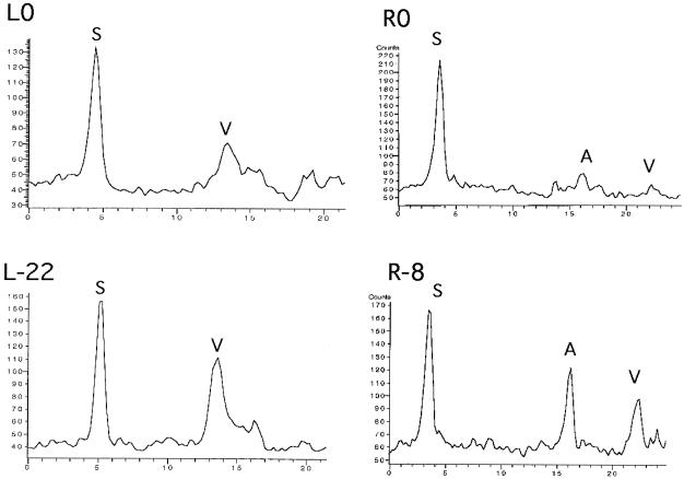 FIG. 8.