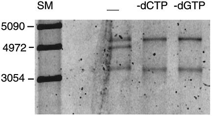 FIG. 5.