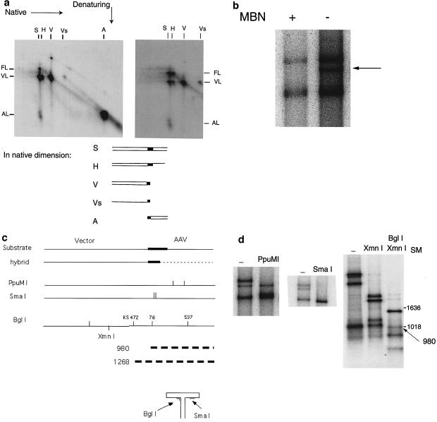 FIG. 4.