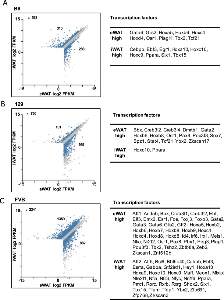 Figure 6