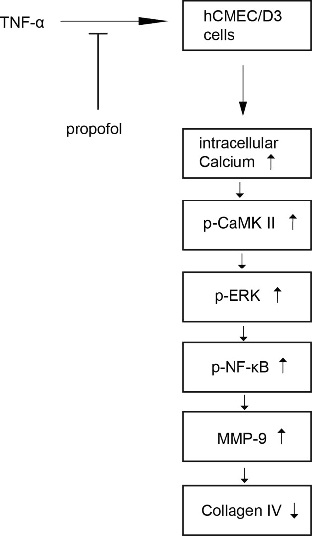 Fig. 9