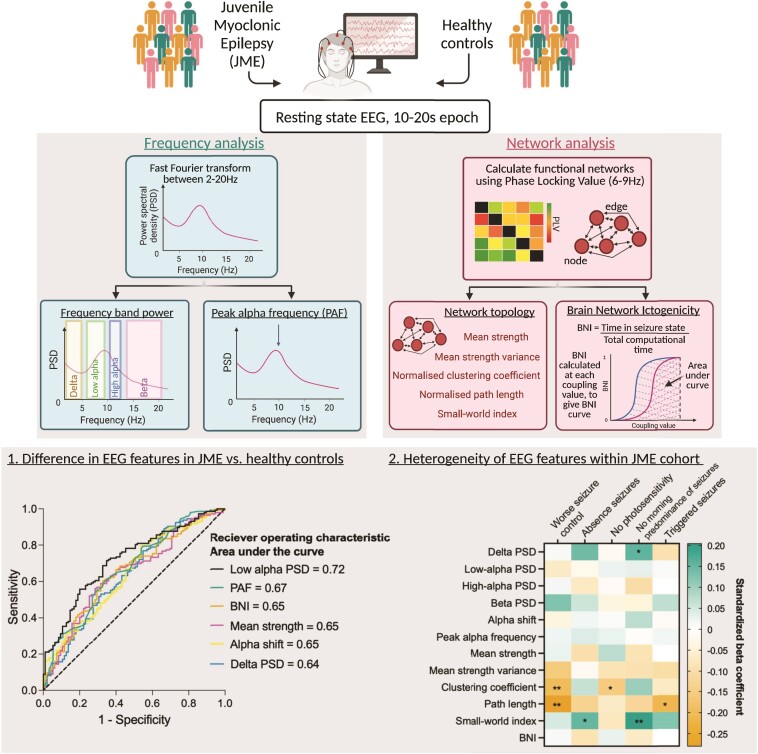 Graphical abstract