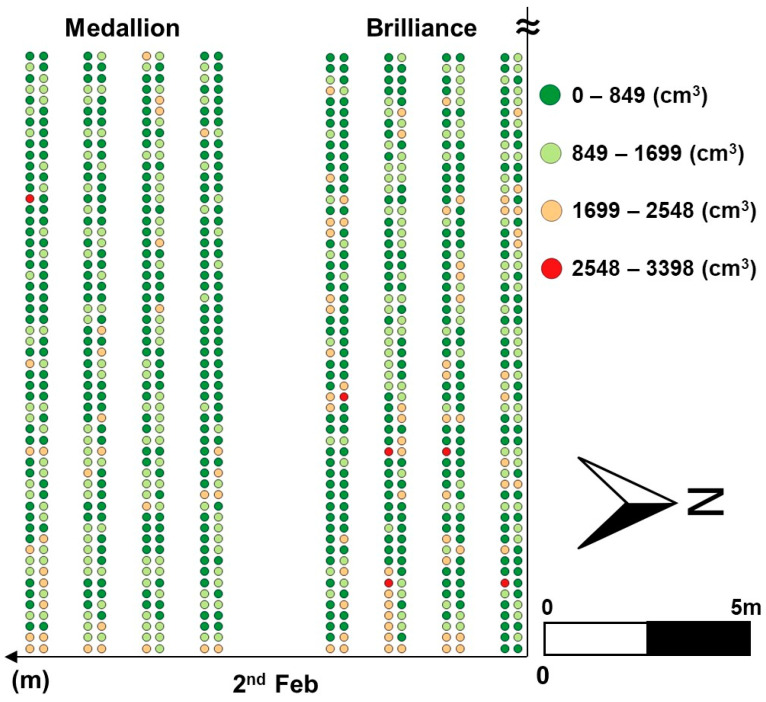 Figure 10