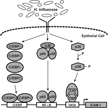 Figure 9.