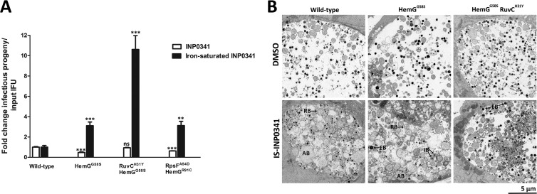 Fig 6