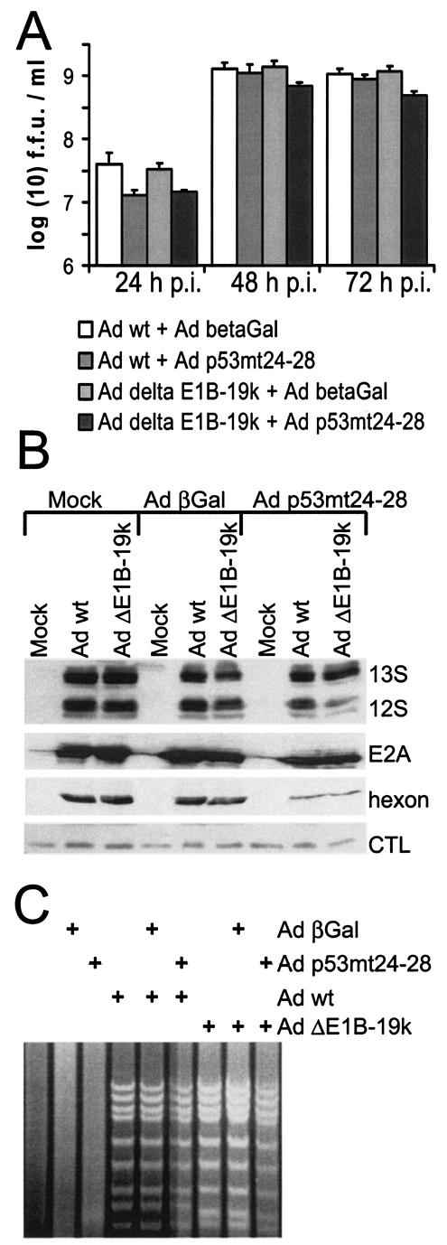 FIG. 9.