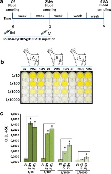 Fig. 4