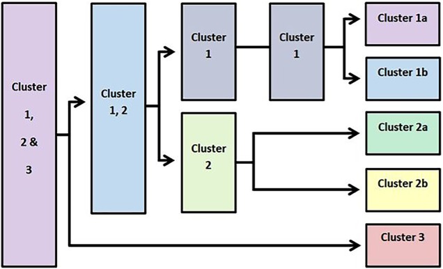 Figure 3