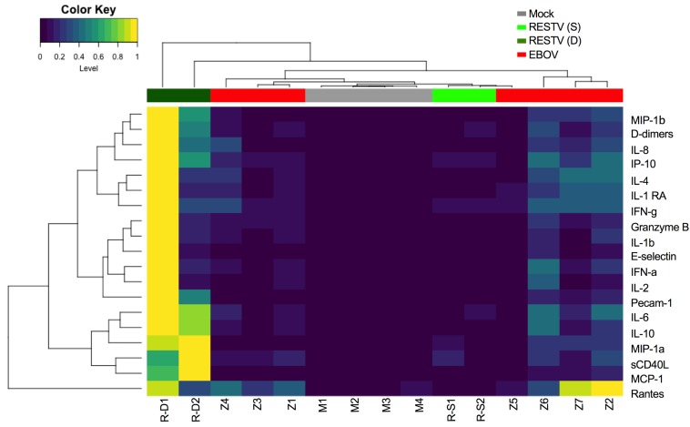 Comparative pathogenesis of Ebola virus and Reston virus infection in ...