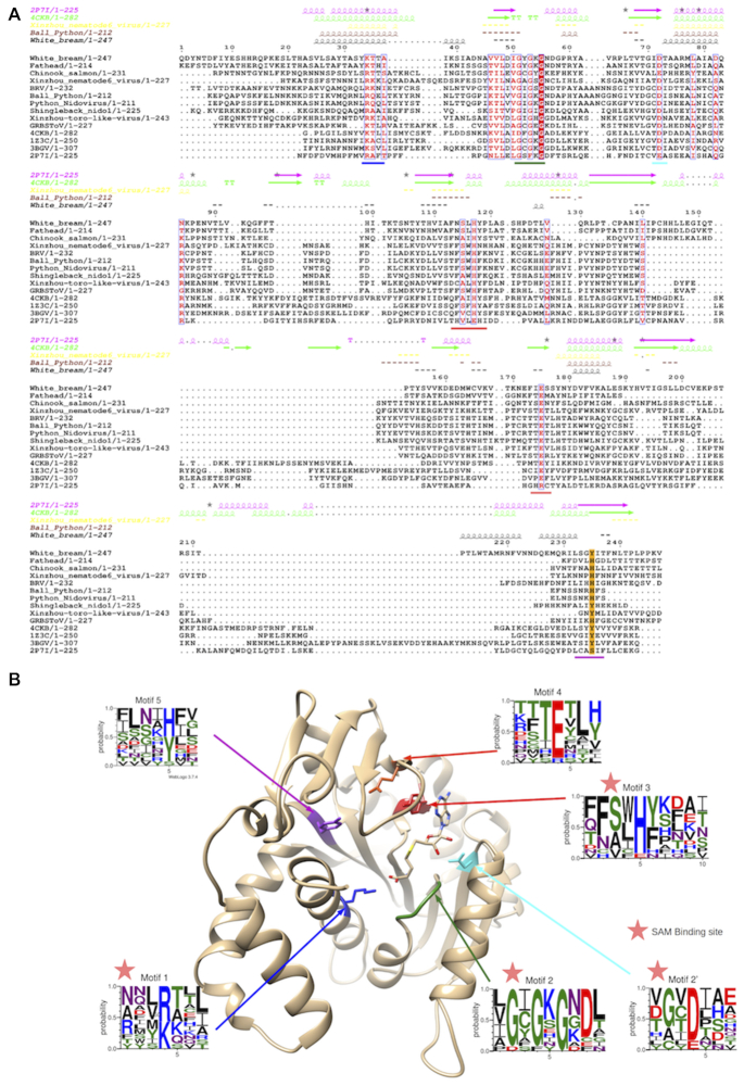 Figure 3.