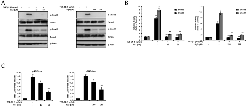 Fig. 8