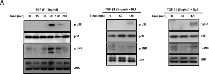 Fig. 10