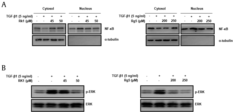 Fig. 9