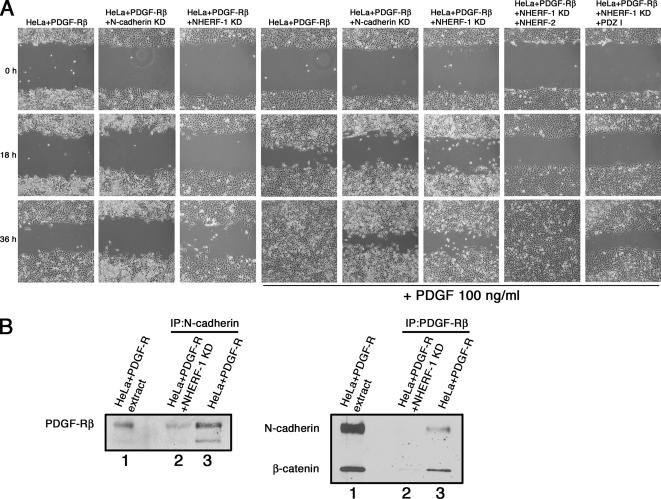 Figure 10.