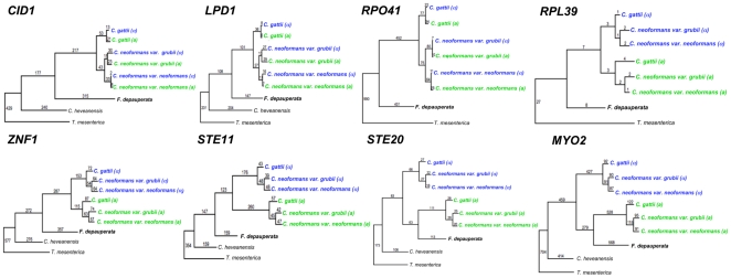 Figure 10