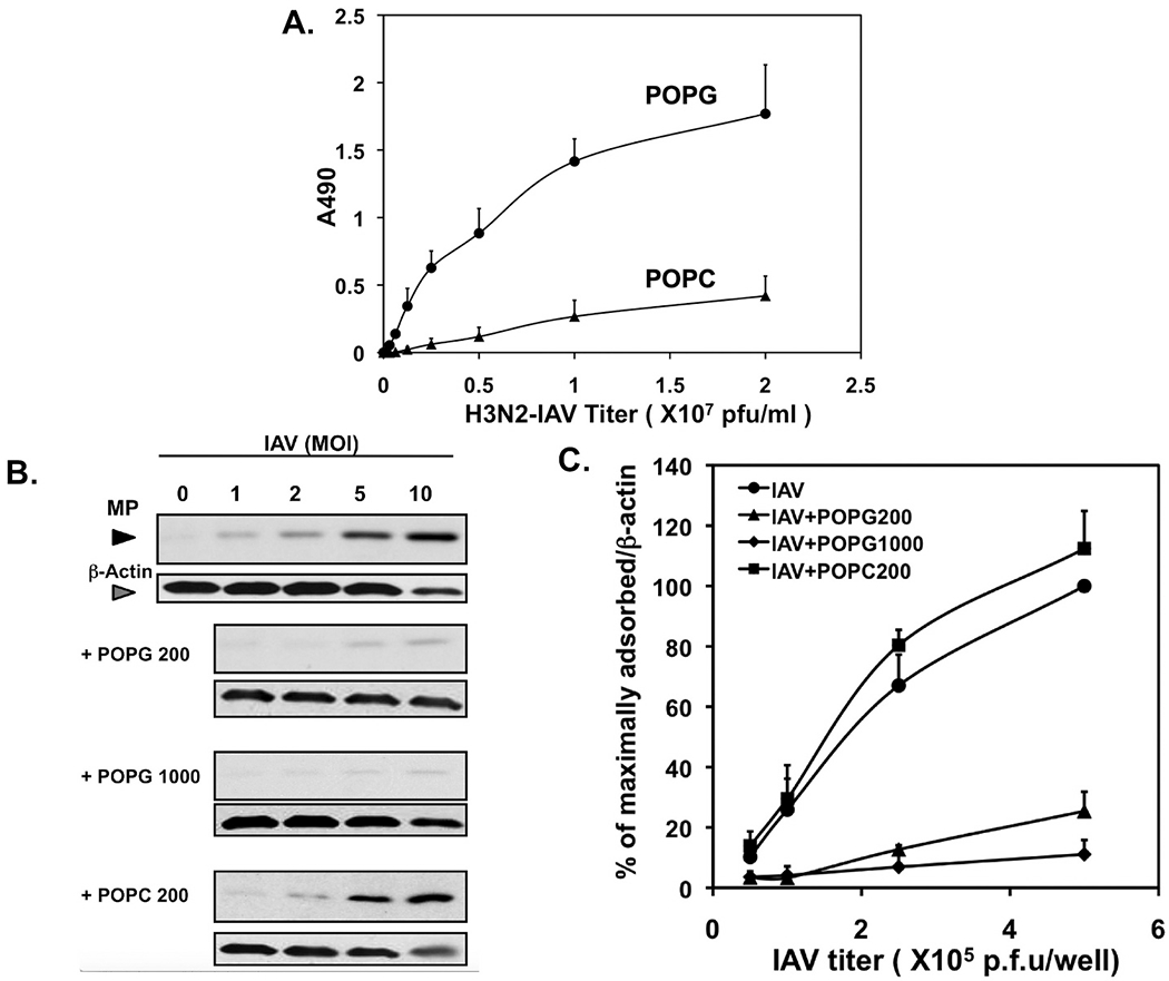 Fig. 8.