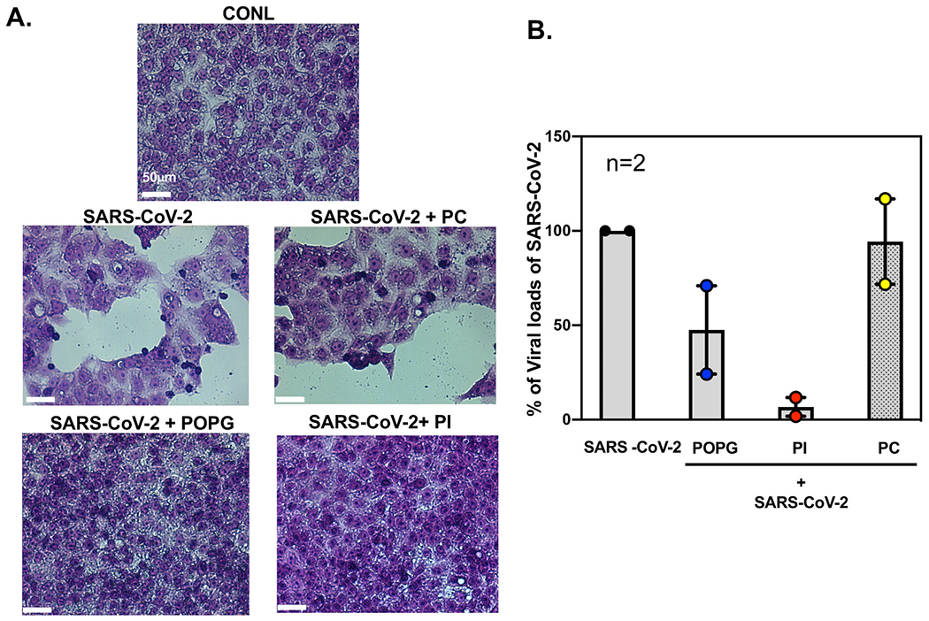 Fig. 11.