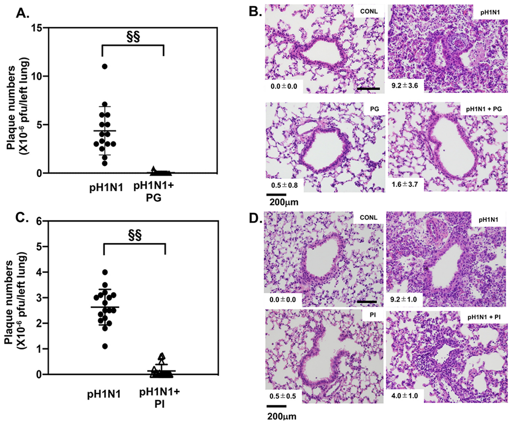 Fig. 10.